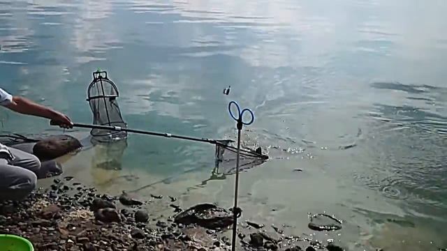 Banax Piccolo feeder 150 смотреть онлайн