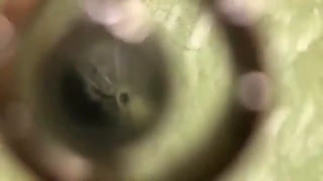 Купила кулон в виде сердца - вот что пришло! Подарок на 14 февраля! смотреть онлайн