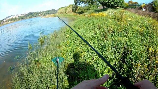 A testar carreto okuma helios sx 20 com Tainhas смотреть онлайн