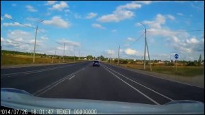 Паника , сбил собаку.