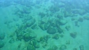 Чистейшее дно оз. Байкал