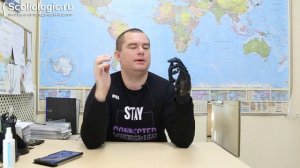 Возможности биопротеза