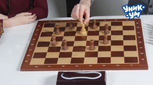 ШАХ И МАТ! Конь
