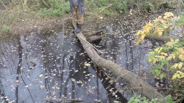 Трудовая рыбалка