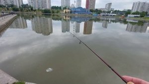Мормышинг и мормоджиг с полиэстер ygk ambercord sg pet polyester #0.2 1 lb; 0.077 м 200м