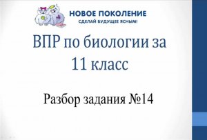 Биология. Разбор 14-го задания ВПР по биологии 11 класс