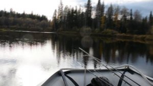 Осенняя поездка. Solar 420 + Yamaha 40 XMHS Jet.