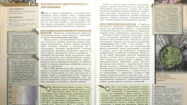 Биология (Л.Н.Сухорукова) 9к §12 Ритмичная деятельность организма смотреть онлайн
