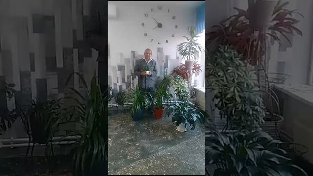 С днём автомобилиста 2023 смотреть онлайн