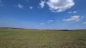 Стрижамент часть 2. Второе дыхание