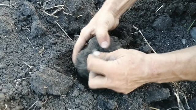 новое место поиска