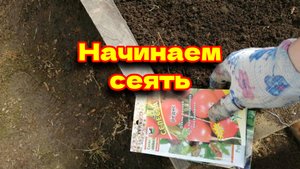 Первые посевы 2 апреля 2022. Посев  в теплице