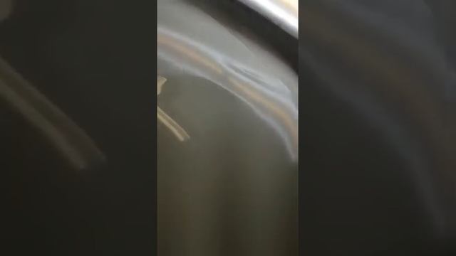 23 декабря 2020 г. смотреть онлайн