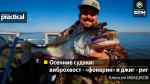 Осенние судаки: виброхвост-«фонарик» и джиг-риг. Алексей Ивашков. Anglers Practical