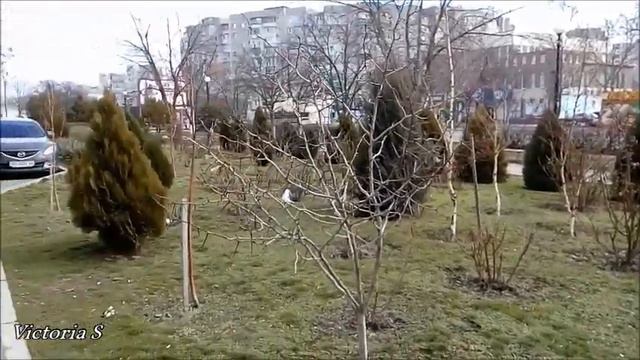 Херсон. Жизнь течет в своем унылом темпе | Погода в Херсоне и в душе.