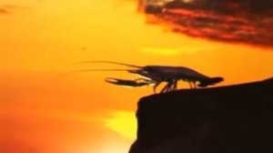 рак свистит на горе на протяжении часа