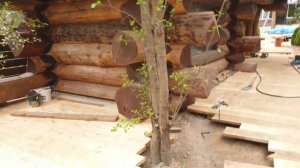 Банный комплекс который хочет каждый 😊👌 Дмитрий и канал "про дерево" #продерево #сеньорламинат