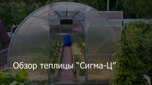 Теплица "Сигма-Ц" на даче в Московской области