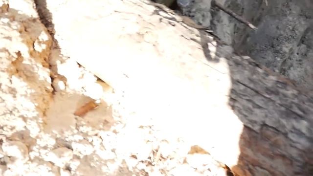 Построил дом под землей для сталкерской базы в Чернобыле. Ремонт блиндаж землянки. Выживание в лесу смотреть онлайн