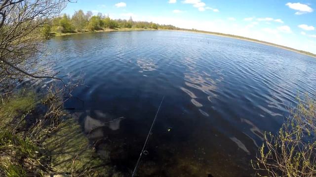Рыбалка на спиннинг в Тверской области поселок Озерки )))Fishing, Pike, May, Spinning, Perch, Tver смотреть онлайн