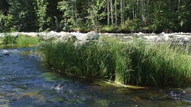 Релакс. Музыка настроения. смотреть онлайн
