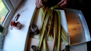 Ревень \ЗАГОТОВКА на зиму\ сбор\ нарезка\ сушка