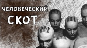 ЭКСПЕРИМЕНТЫ НАД ЛЮДЬМИ 2019, Эффект сотой обез.mp4