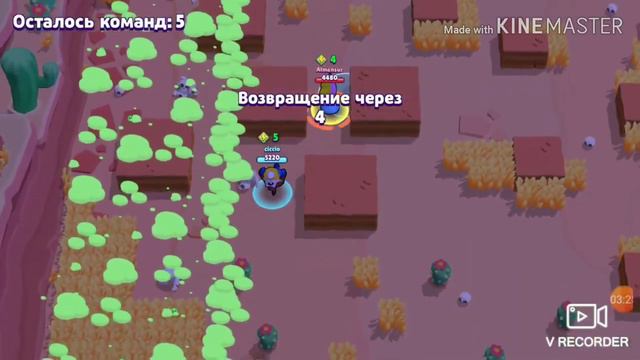 Бравл качан старс ( набиваю кубки)#3 смотреть онлайн