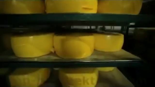 Производство сгущёнки! смотреть онлайн