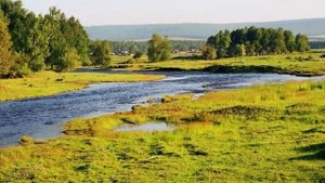 Czesław Niemen ( Немен ) - Jołoczki, Sosionoczki (Eлочки, сосеночки)