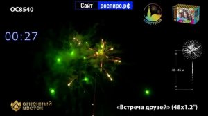 салют "встреча друзей"