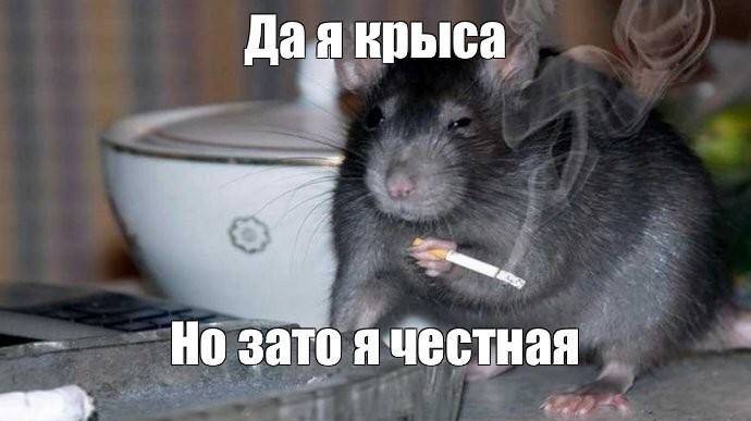rutube.ru