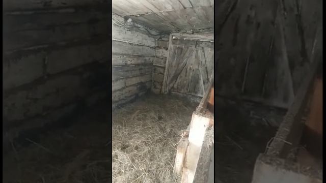 В какую цену мы покупали коров,поилки в коровнике.