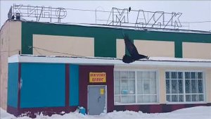 Копия видео "Бухта Провидения"