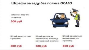 Сколько можно ездить по ДКП без страхового полиса ОСАГО