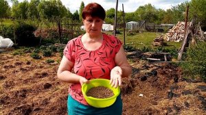 Что лучше для кур ЗЕРНОСМЕСЬ или КОМБИКОРМ.