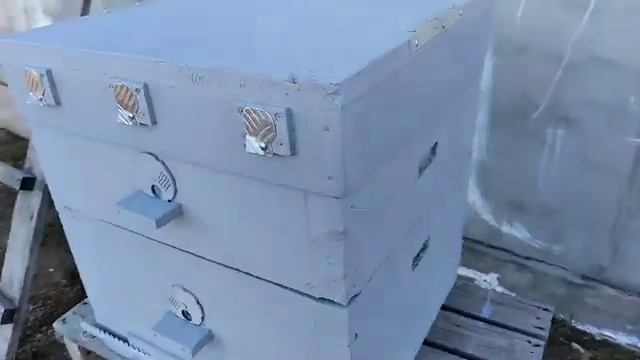 самодельный улей из пенопласта с деревянной обвязкой смотреть онлайн