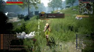 Black Desert MMORPG PS4 Pro Gameplay
