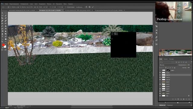Лекция уходу за растениями и использованию удобрений смотреть онлайн