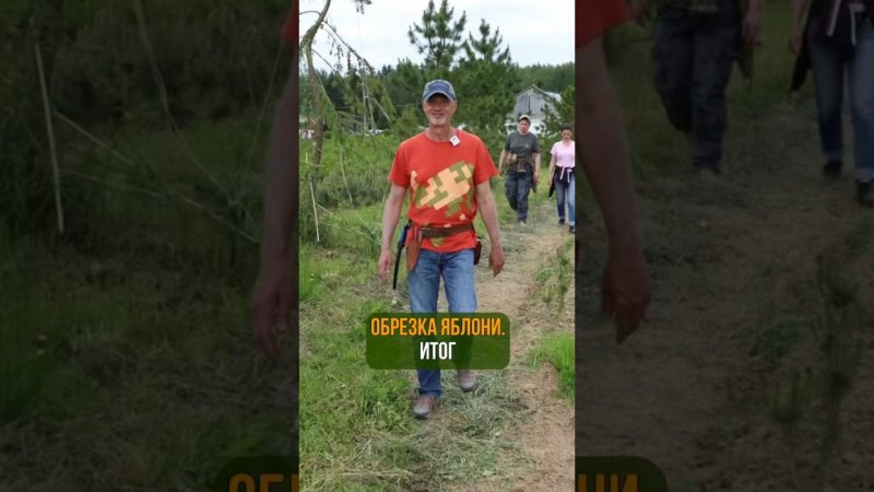 ОБРЕЗКА ЯБЛОНИ. ИТОГ