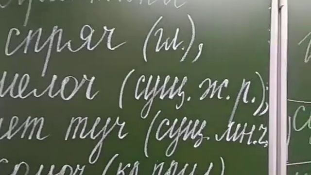 Мягкий знак после шипящих. 4 класс