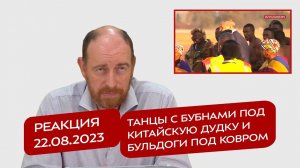 Реакция 22.08.2023 Танцы с бубнами под китайскую дудку и бульдоги под ковром