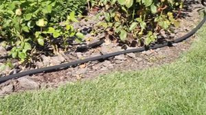 www VDyoutube com Сочащийся шланг    альтернатива Капельному поливу  Попробуйте Сочащийся шланг от