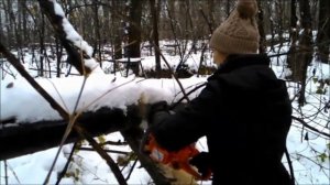 Бензопила Husqvarna | Первое знакомство | Заготовка дров