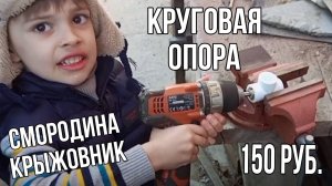 Круговая опора для смородины