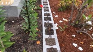 Как сделать красивую клумбу для цветов перед домом. Наши идеи…