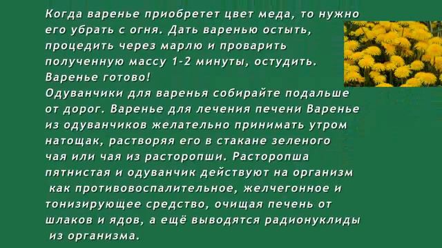 Лечим печень мёдом из одуваньчиков.