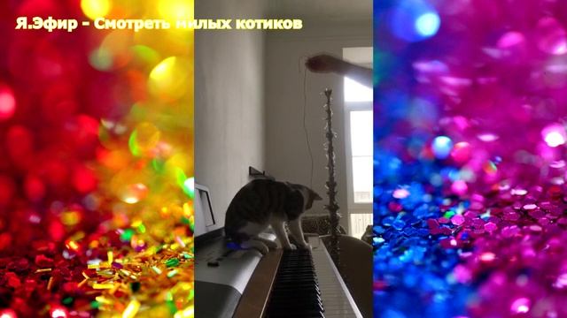 котиками, милые котики приколы, развлечения, юмор, рыбки видео для кошек, игра для кошек рыбки