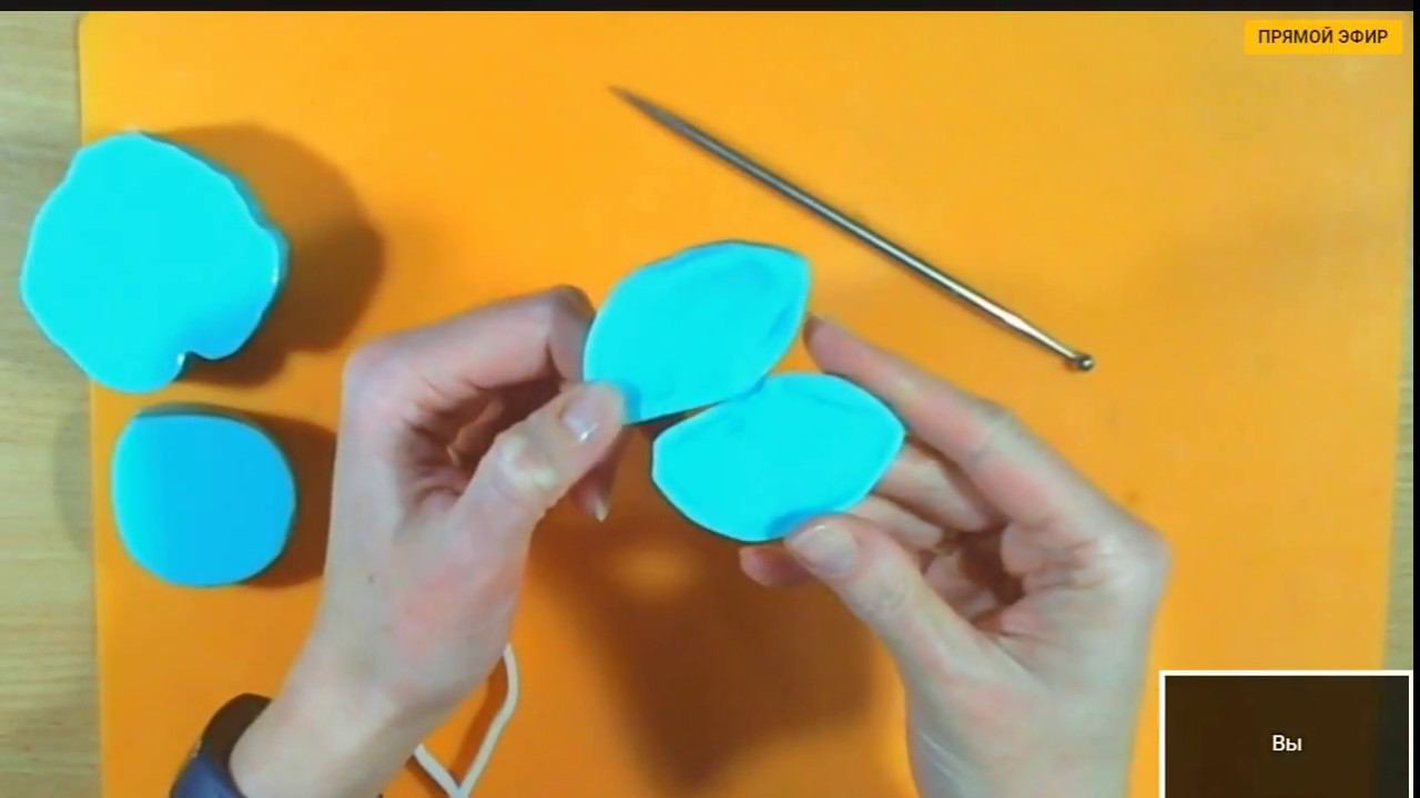 Цикламен (02.03.2018 23-08-12) смотреть онлайн