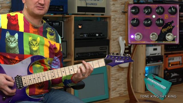 Low to LOADS of gain for little money! Caline Brutus Review смотреть онлайн